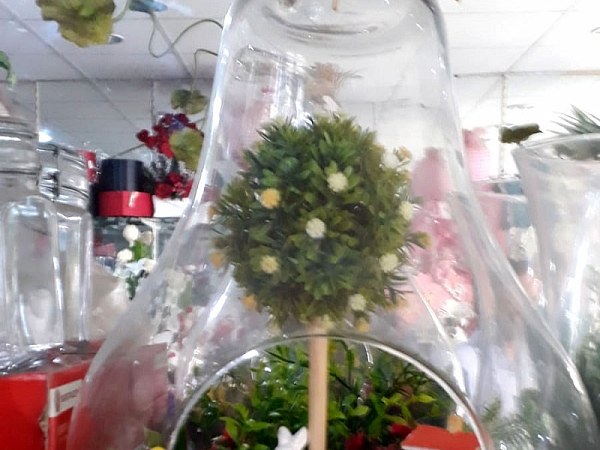 Şeffaf ambalajla paketlenmiş, cam fanusta mini bahçe düzenlemesi